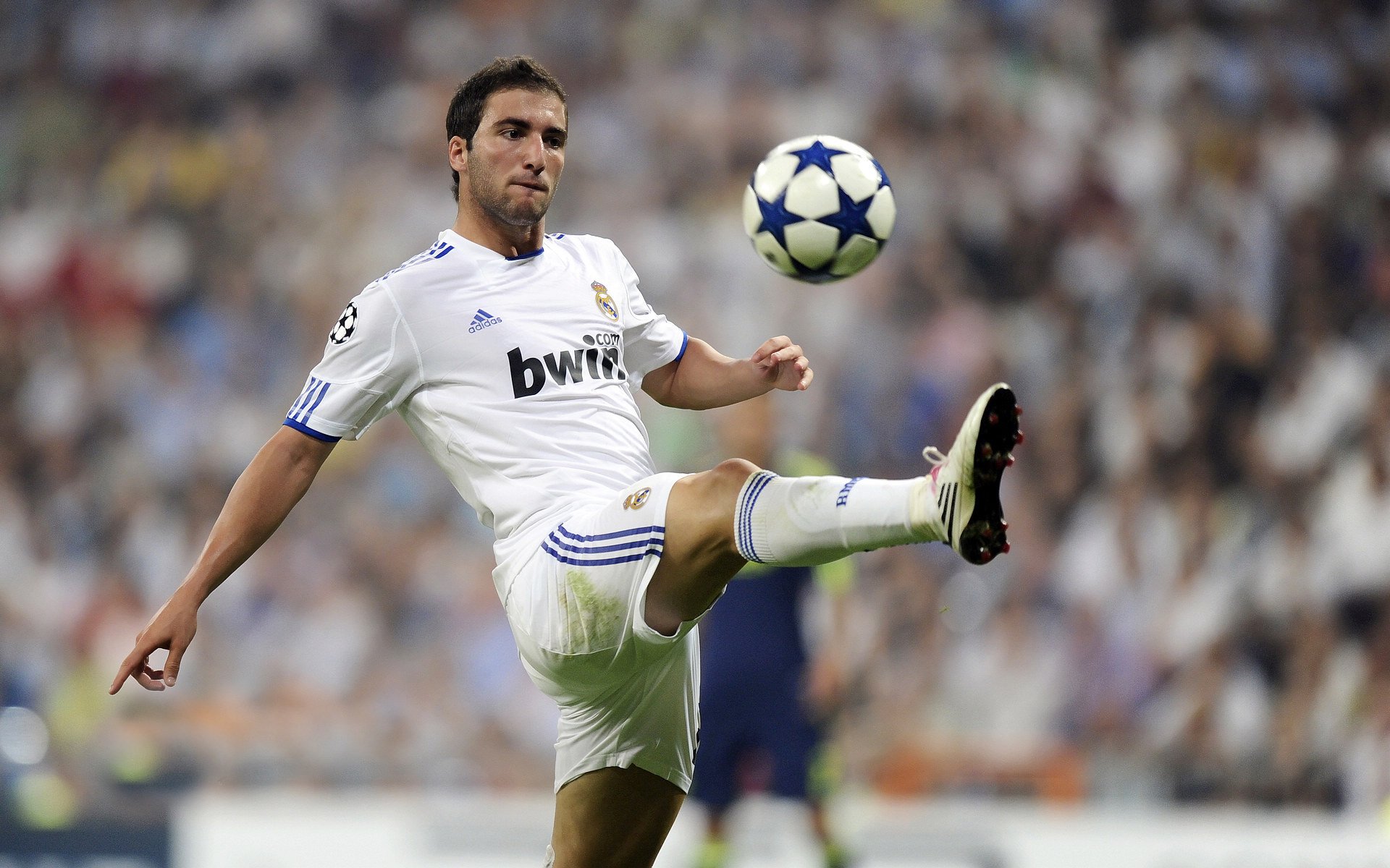 广州恒大主场告捷，卫冕形势乐观，恒大广州队主场